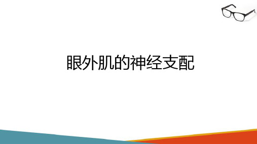 眼外肌的解剖与神经支配 眼外肌的神经支配