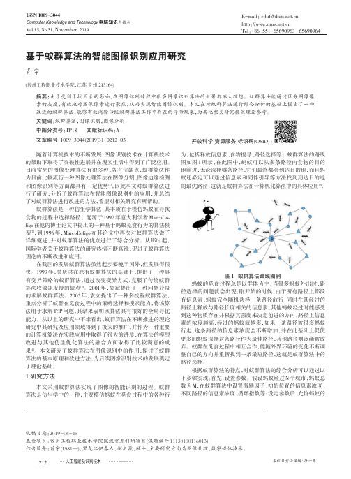 基于蚁群算法的智能图像识别应用研究