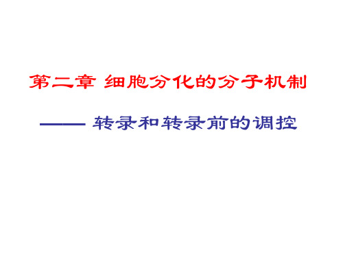 第二章细胞分化的分子机制——转录和转录前调控