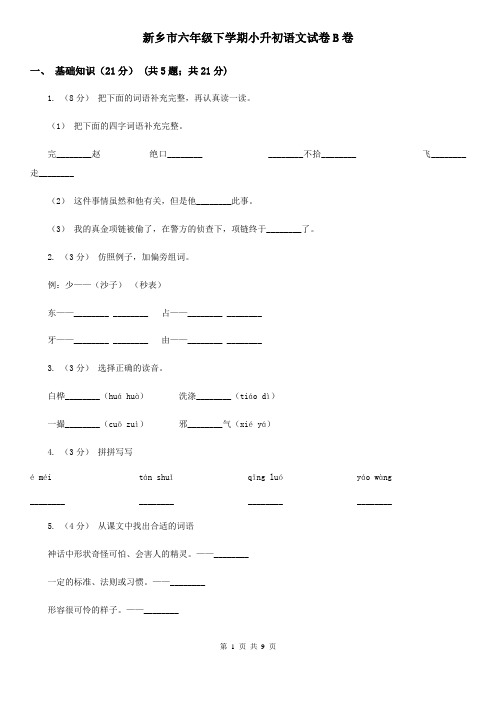 新乡市六年级下学期小升初语文试卷B卷