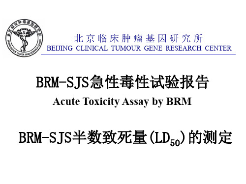 〖医学〗BRM-SJS急性毒性试验报告