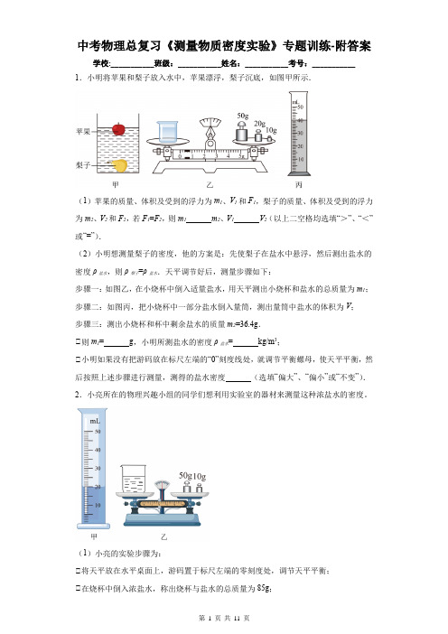 中考物理总复习《测量物质密度实验》专题训练-附答案