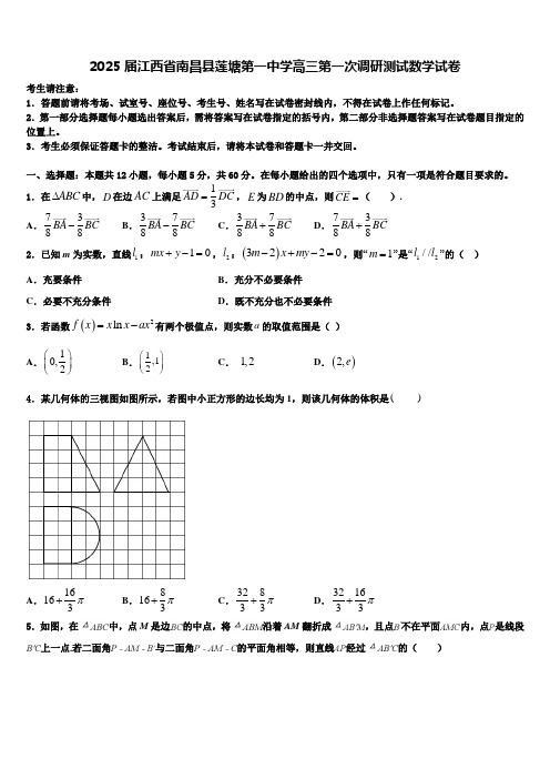 2025届江西省南昌县莲塘第一中学高三第一次调研测试数学试卷含解析