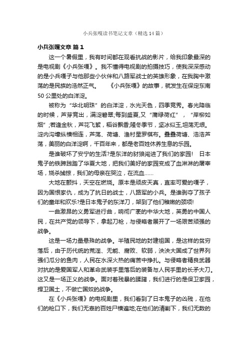 小兵张嘎读书笔记文章（精选14篇）