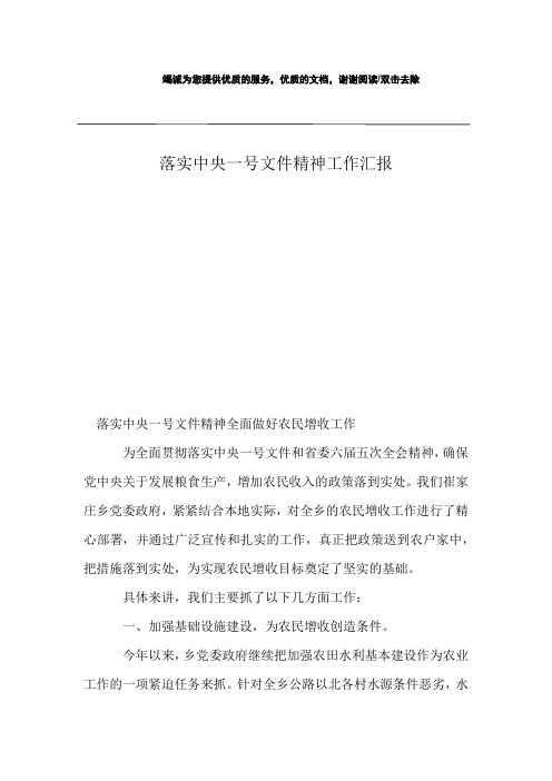 落实中央一号文件精神工作汇报