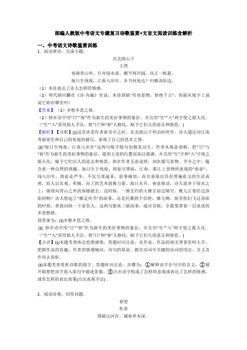 部编人教版中考语文专题复习诗歌鉴赏+文言文阅读训练含解析