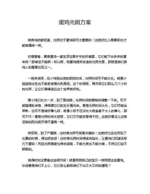 蛋鸡光照方案