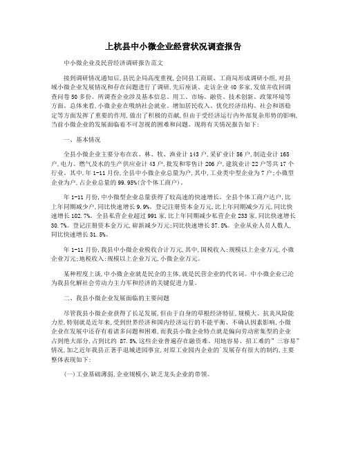 上杭县中小微企业经营状况调查报告