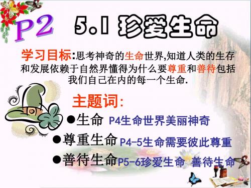 珍爱生命PPT优秀课件11 苏教版(共29张)