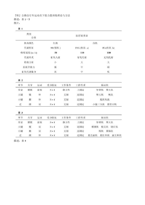 公路自行车运动员下肢力量训练理论与方法