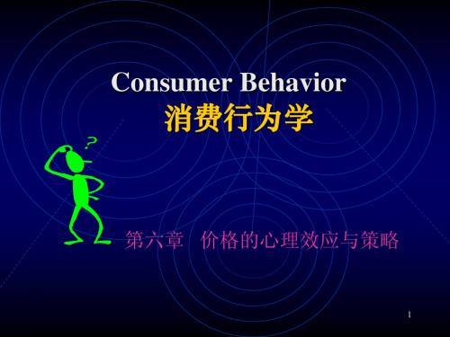 消费行为学第6章-价格