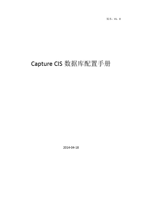 【005】Capture CIS数据库配置手册