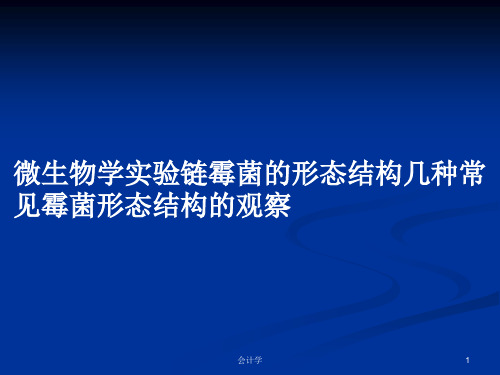 微生物学实验链霉菌的形态结构几种常见霉菌形态结构的观察PPT学习教案