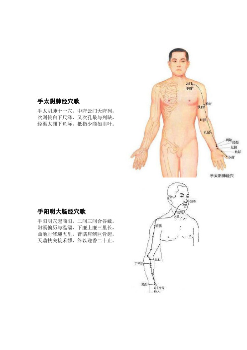 十二经络穴位歌(带图)