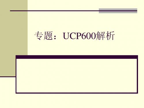 专题UCP600解析无案例版