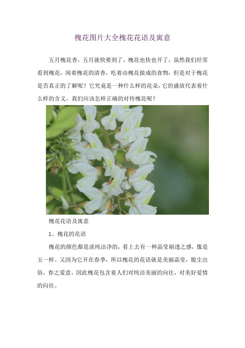 槐花图片大全 槐花花语及寓意