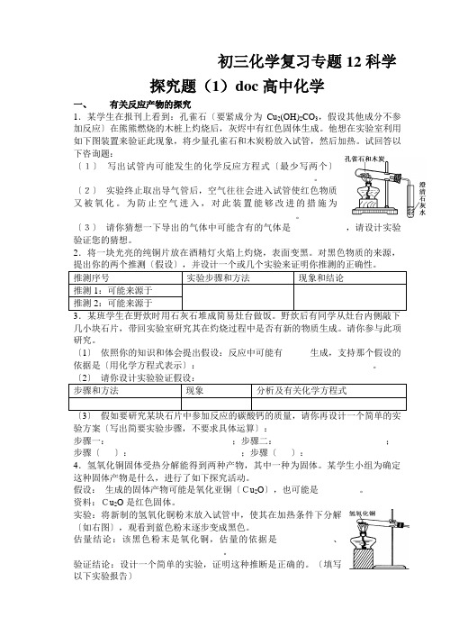 初三化学复习专题12科学探究题(1)doc高中化学