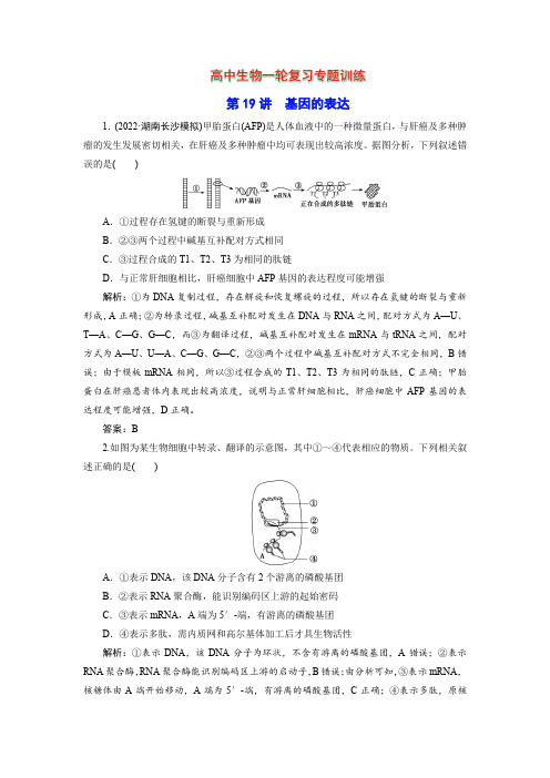 高中生物一轮复习专题训练：第19讲 基因的表达(word含解析)