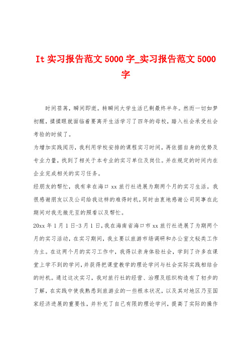 It实习报告范文5000字