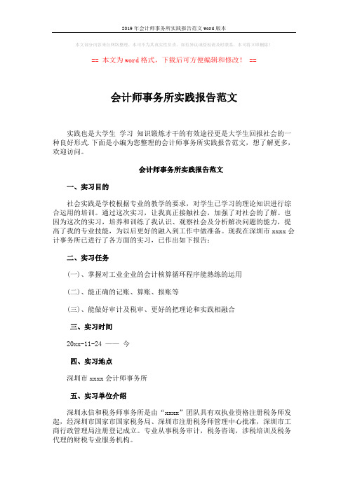 2019年会计师事务所实践报告范文word版本 (4页)