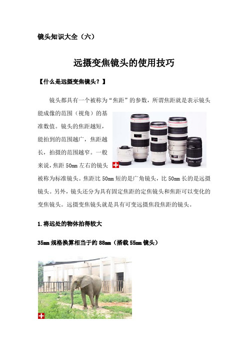 镜头知识大全(六)远摄变焦镜头的使用技巧