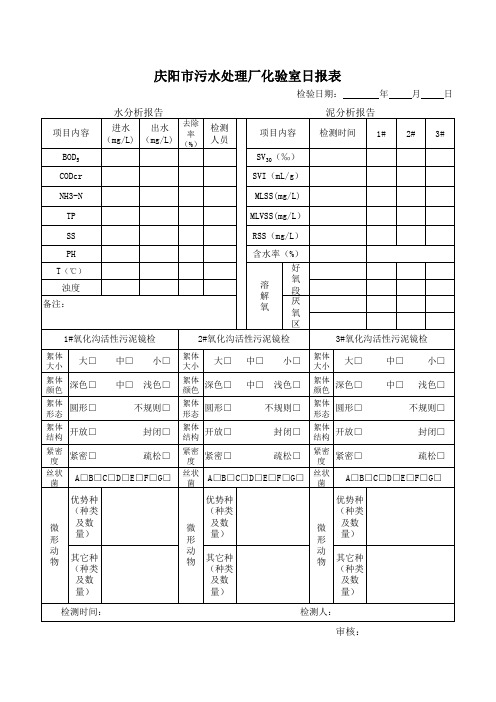 污水处理厂化验日报表