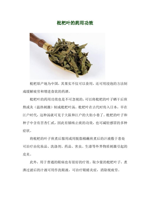 枇杷叶的药用功效