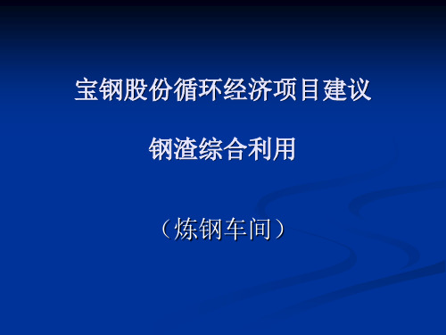 宝钢集团炼钢厂钢渣利用项目建议