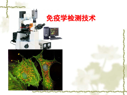 免疫学检测技术PPT课件