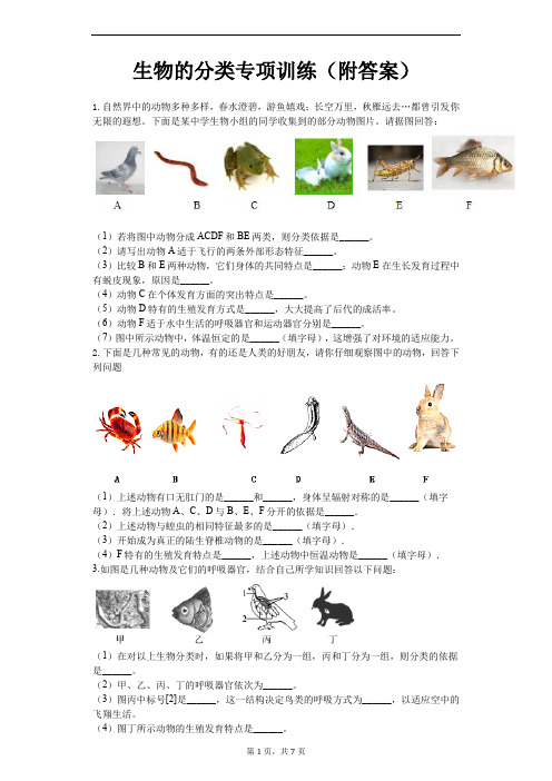 济南出版社七年级生物上册第二单元第四章生物的分类专项训练(附答案)