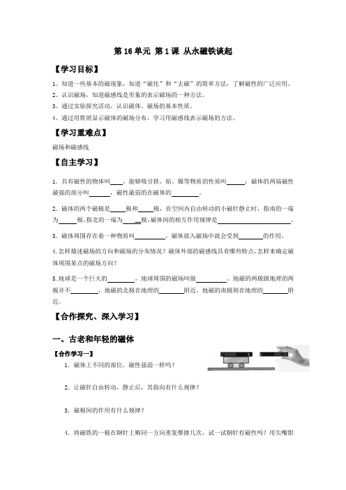 16.1 从永磁铁谈起(导学案)