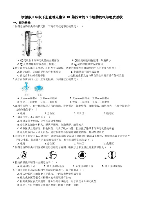 浙教版科学八年级下册同步练习18第四章的3节植物的根和物质吸收(含答案)