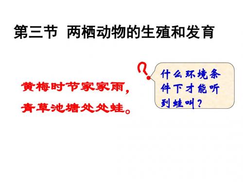 第三节  两栖动物的生殖和发育