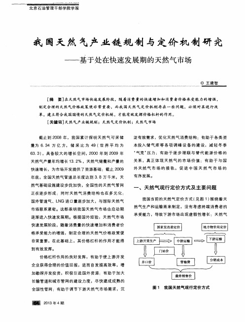 我国天然气产业链规制与定价机制研究——基于处在快速发展期的天然气市场