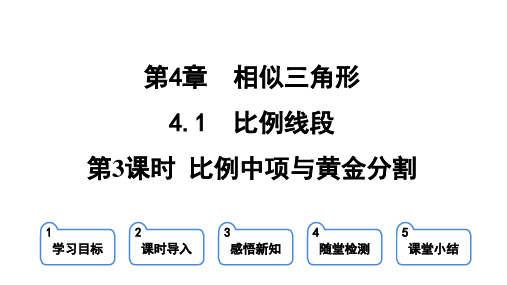 4.1.3 比例中项与黄金分割 课件(共28张PPT)2023-2024学年浙教版九年级上册数学