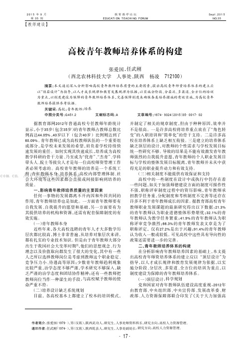 高校青年教师培养体系的构建