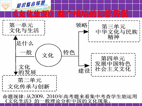 2012高考政治课件专题九文化的作用与发展