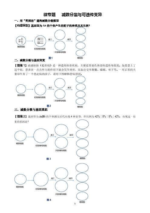 高中生物 微专题  减数分裂与可遗传变异