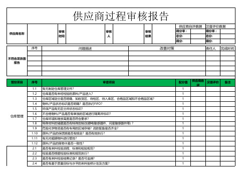 供应商过程审核报告【显示屏--方案】