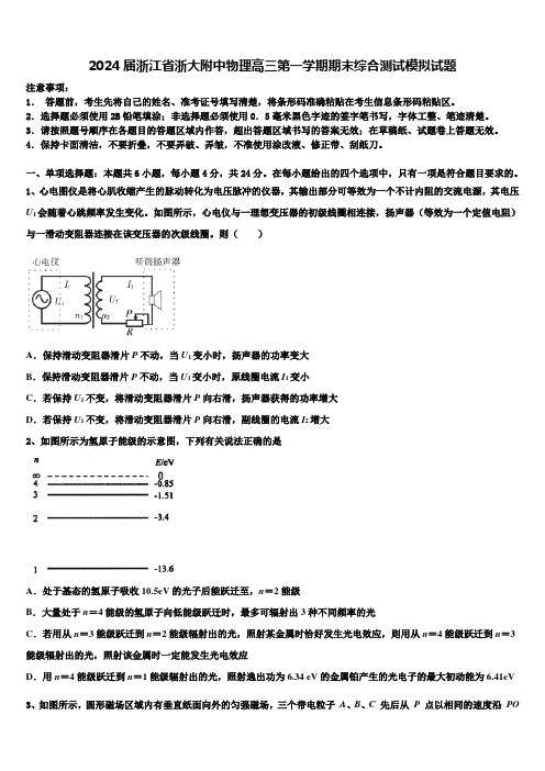 2024届浙江省浙大附中物理高三第一学期期末综合测试模拟试题含解析