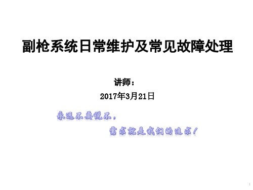 副枪系统日常维护及常见故障处理 - 副本