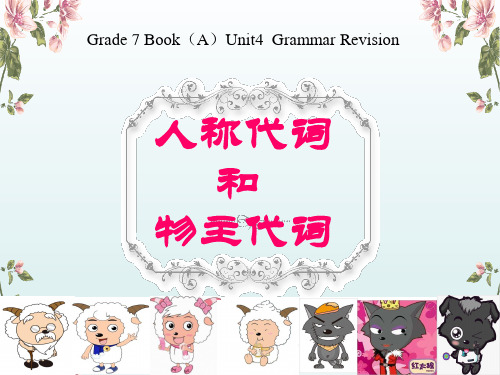 人教新目标七年级英语上册-Unit 4  人称代词和物主代词语法复习课 课件(共18张PPT)