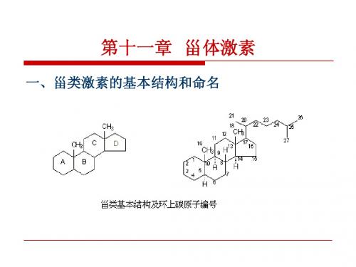 第十一章 药物化学激素