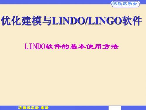 LINDO软件的使用