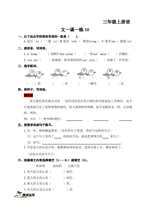 三年级上册语文一课一练10.五花山语文S版