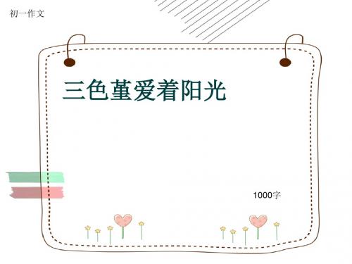 初一作文《三色堇爱着阳光》1000字(共11页PPT)
