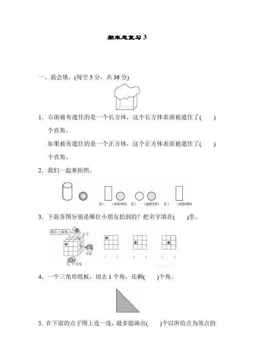 人教版数学二年级上册 期末总复习3 及解析答案