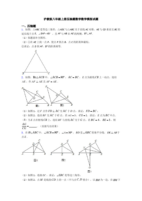 沪教版八年级上册压轴题数学数学模拟试题