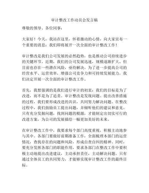 审计整改工作动员会发言稿