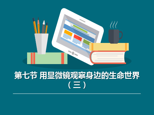 用显微镜观察身边的生命世界(三)-微小世界ppt上课用